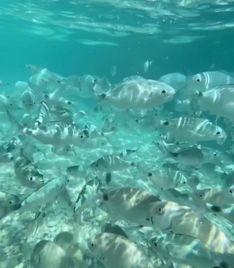 Monolocale Da Andrea Διαμέρισμα Custonaci Εξωτερικό φωτογραφία